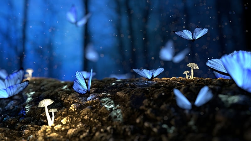 Enchanted Musicians