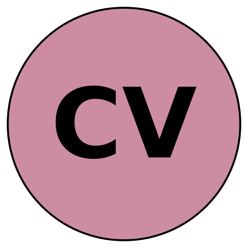 CherishVision