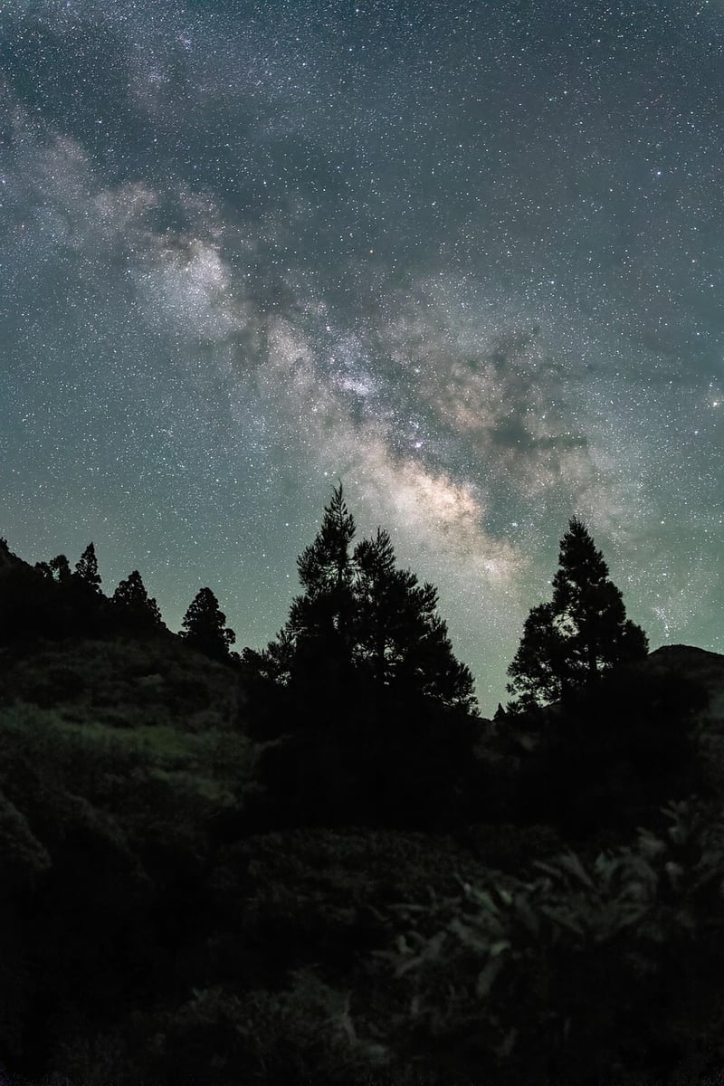 Enchanted night sky